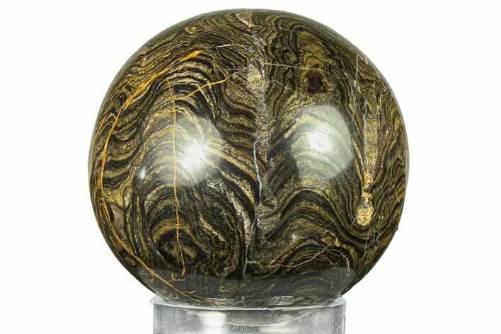 Polished Stromatolite (Greysonia) Sphere - Bolivia #302439